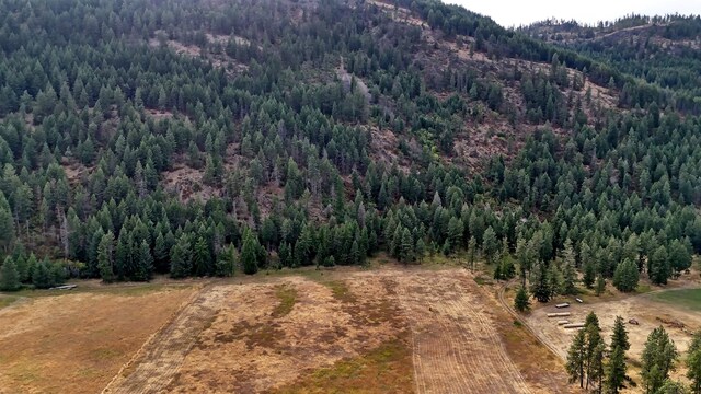 313 Aladdin Rd, Colville, WA 99114 - photo 25
