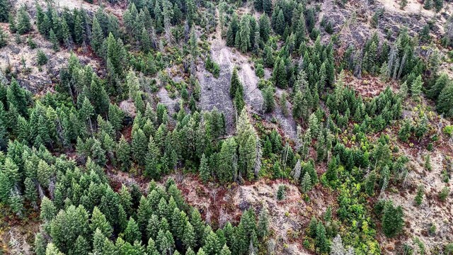313 Aladdin Rd, Colville, WA 99114 - photo 26