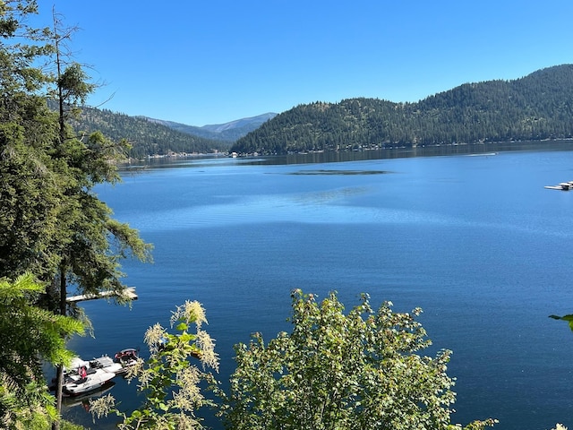 3852 W Pine Bay Way, Loon Lake, WA 99148 - photo 1