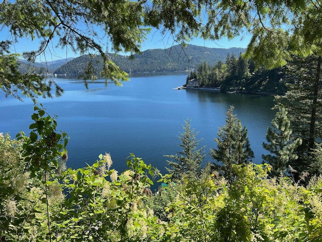 3852 W Pine Bay Way, Loon Lake, WA 99148 - photo 11