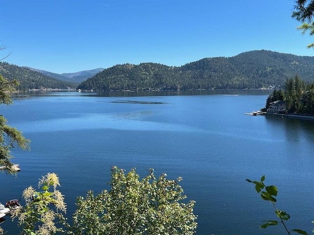 3852 W Pine Bay Way, Loon Lake, WA 99148 - photo 6