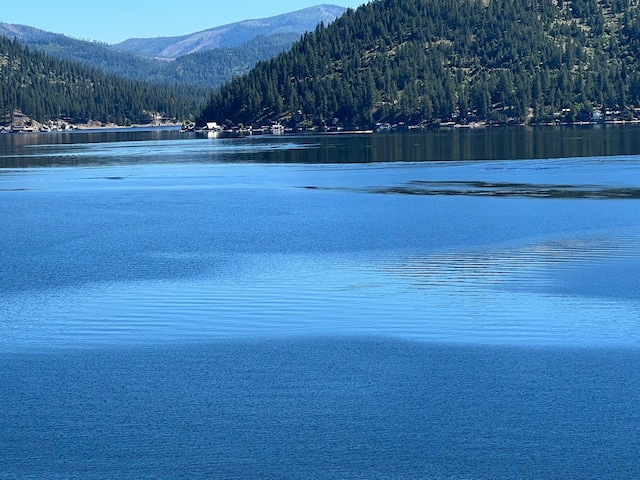 3852 W Pine Bay Way, Loon Lake, WA 99148 - photo 7