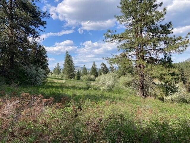 20XX Northport Flat Creek Rd, Kettle Falls, WA 99141