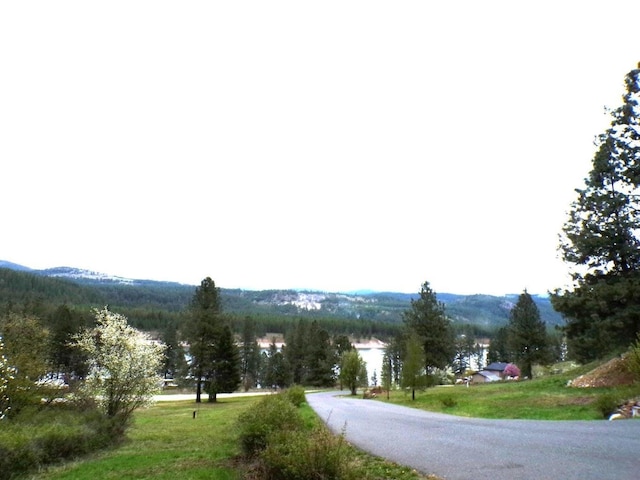 20XX Northport Flat Creek Rd, Kettle Falls, WA 99141