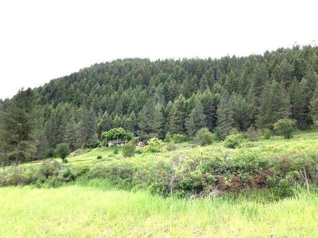 20XX Northport Flat Creek Rd, Kettle Falls, WA 99141