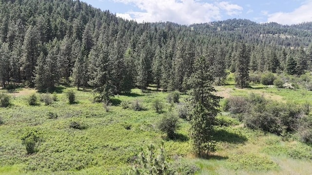 20XX Northport Flat Creek Rd, Kettle Falls, WA 99141