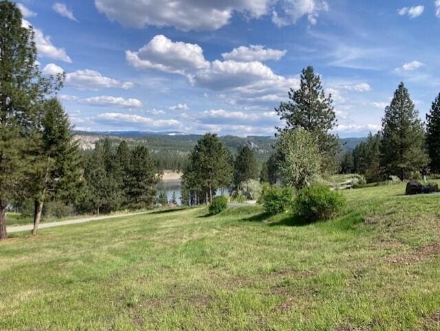 20XX Northport Flat Creek Rd, Kettle Falls, WA 99141