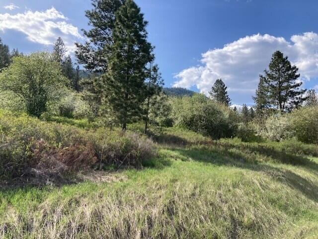 20XX Northport Flat Creek Rd, Kettle Falls, WA 99141