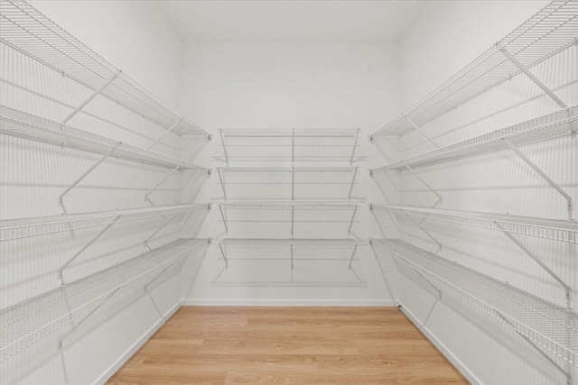 walk in closet featuring light wood-style floors