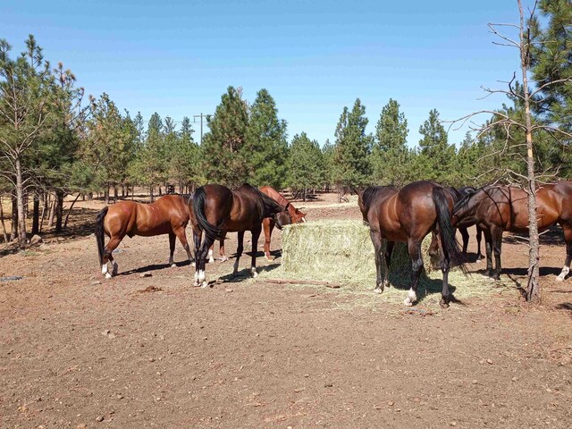 1810 W Paradise Rd, Spokane, WA 99224 - view of horse barn featuring a rural view
