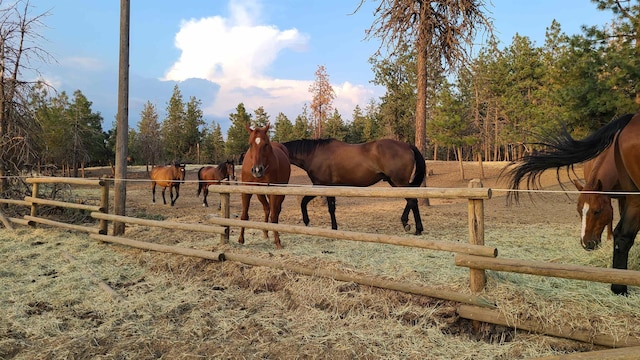 1810 W Paradise Rd, Spokane, WA 99224 - view of horse barn featuring a rural view