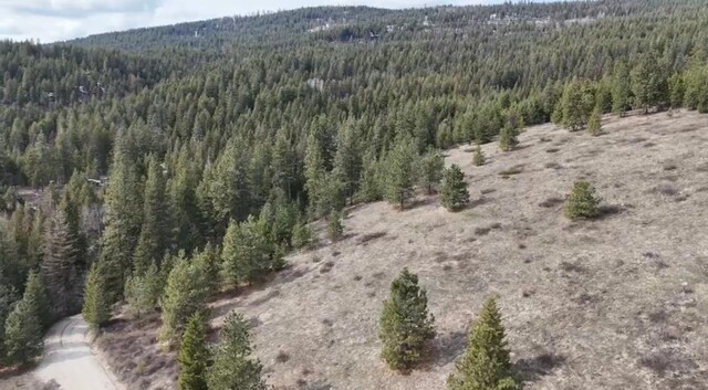 000 Jackknife Cutoff Rd, Kettle Falls, WA 99141 - photo 23