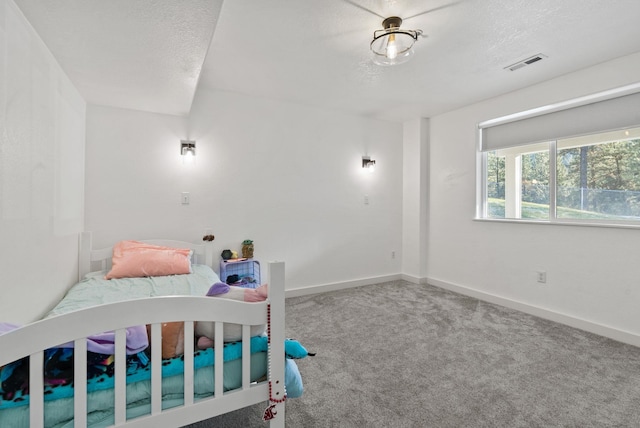 14505 W Coulee Hite Rd, Spokane, WA 99224 - carpeted bedroom with baseboards, a textured ceiling, and visible vents