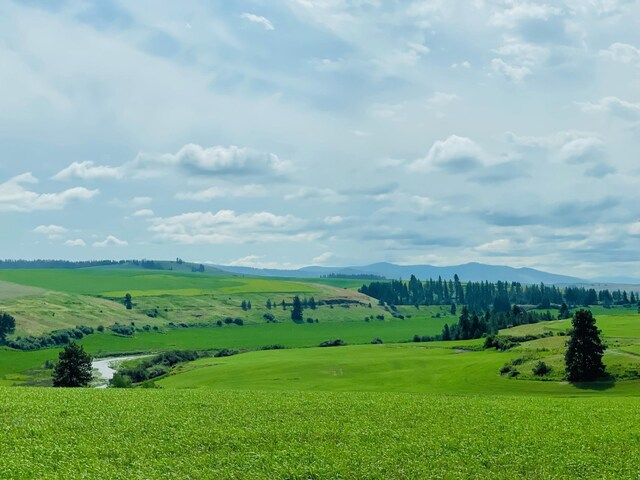 11900 Hays Road Lot A - Parcel 9030, Spangle, WA 99031