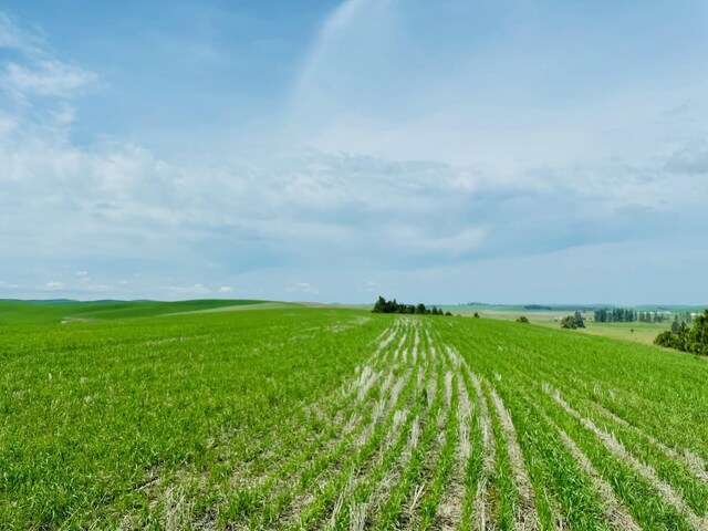 11900 Hays Road Lot A - Parcel 9030, Spangle, WA 99031