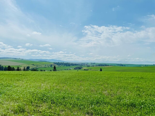 11900 Hays Road Lot A - Parcel 9030, Spangle, WA 99031