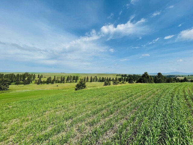 11900 Hays Road Lot A - Parcel 9030, Spangle, WA 99031