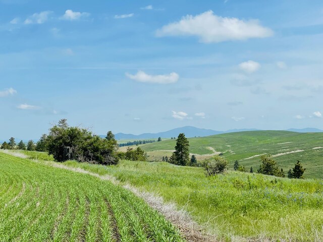 11900 Hays Road Lot A - Parcel 9030, Spangle, WA 99031