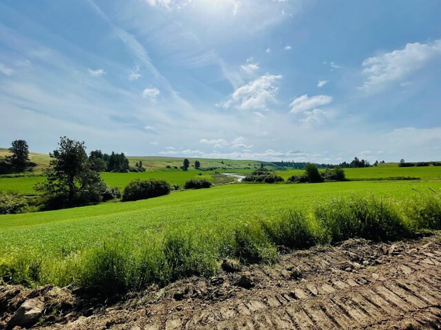 11900 Hays Road Lot A - Parcel 9030, Spangle, WA 99031
