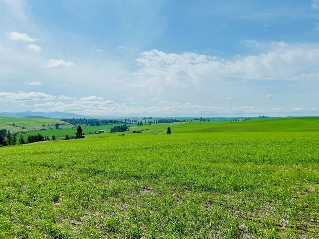 11900 Hays Road Lot A - Parcel 9030, Spangle, WA 99031