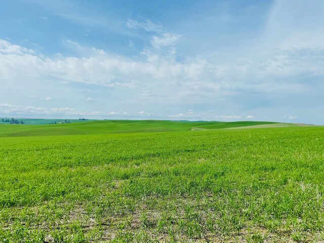 11900 Hays Road Lot A - Parcel 9030, Spangle, WA 99031