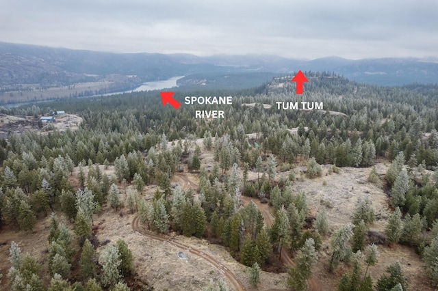 19647 N Mathias Ln, Nine Mile Falls, WA 99026 - photo 2