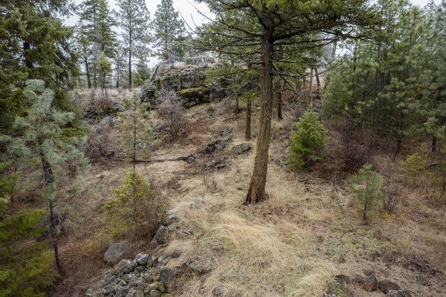 19647 N Mathias Ln, Nine Mile Falls, WA 99026 - photo 12