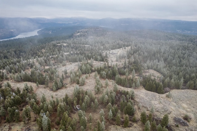 19647 N Mathias Ln, Nine Mile Falls, WA 99026 - photo 20