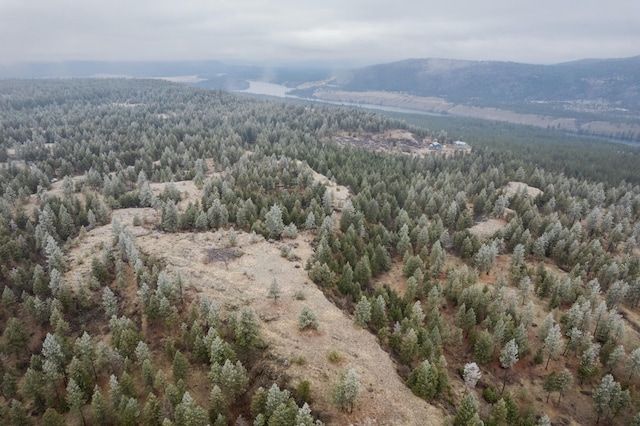 19647 N Mathias Ln, Nine Mile Falls, WA 99026 - photo 22
