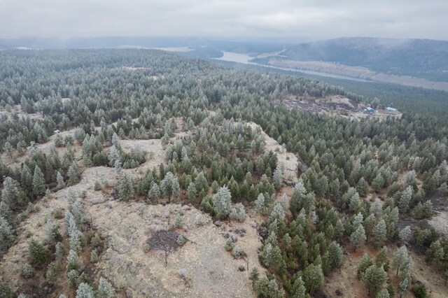 19647 N Mathias Ln, Nine Mile Falls, WA 99026 - photo 23