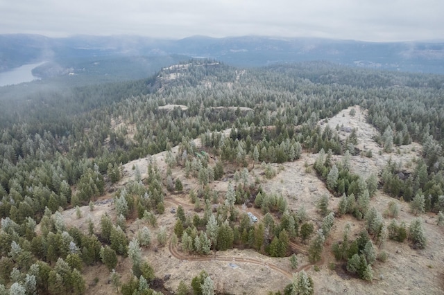 19647 N Mathias Ln, Nine Mile Falls, WA 99026 - photo 27