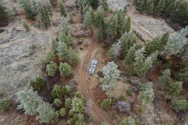 19647 N Mathias Ln, Nine Mile Falls, WA 99026 - photo 9