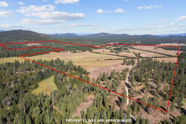 drone / aerial view featuring a mountain view, a rural view, and a forest view
