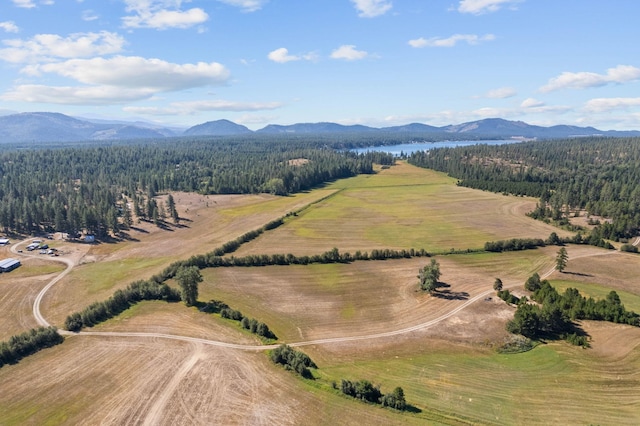 bird's eye view featuring a forest view and a mountain view