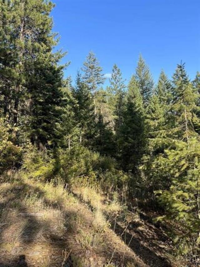 42XX Bussard Lake Rd, Loon Lake, WA 99148