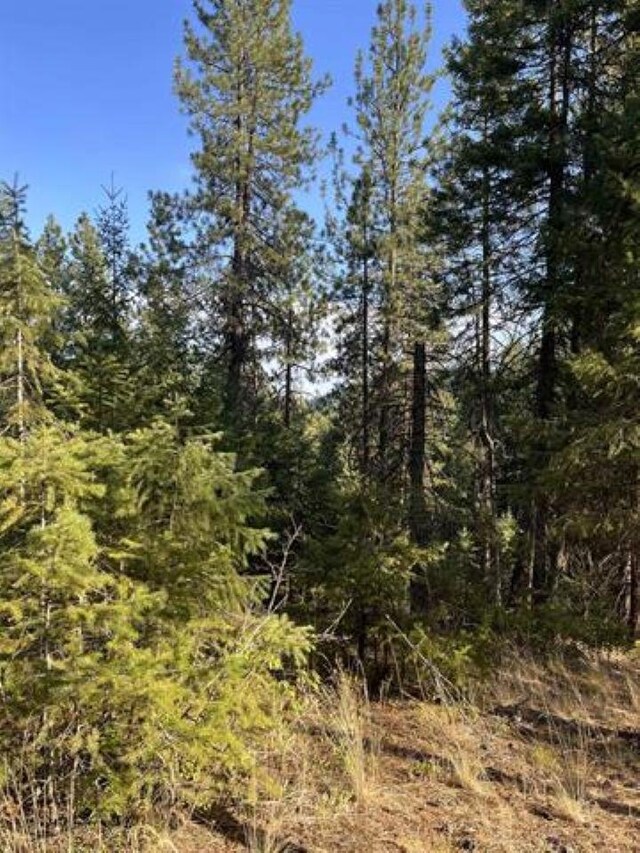 42XX Bussard Lake Rd, Loon Lake, WA 99148