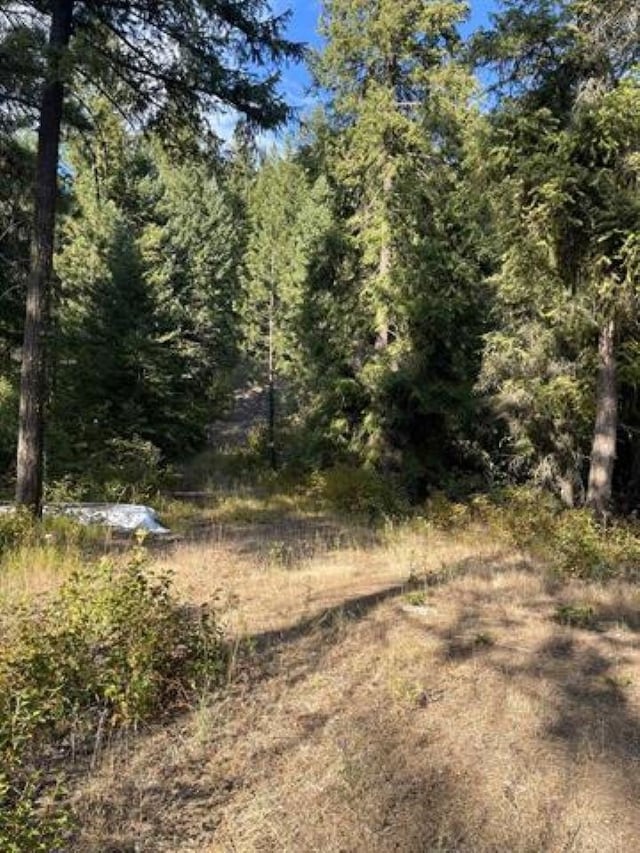 42XX Bussard Lake Rd, Loon Lake, WA 99148