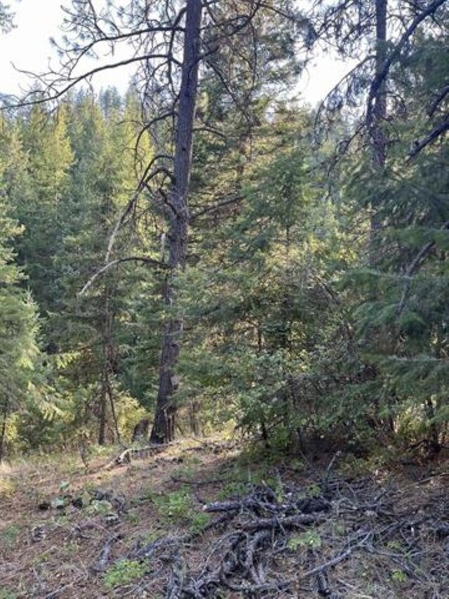 42XX Bussard Lake Rd, Loon Lake, WA 99148