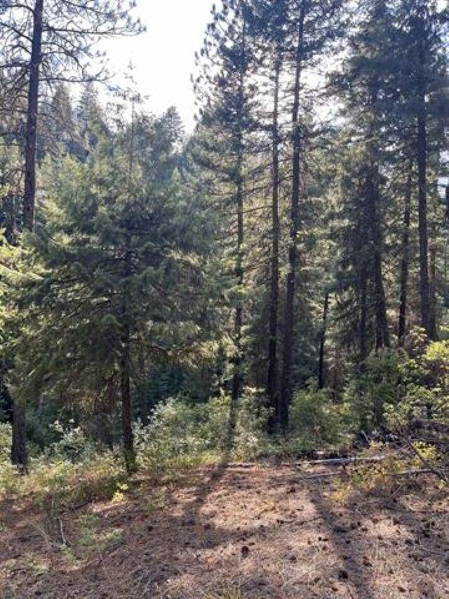 42XX Bussard Lake Rd, Loon Lake, WA 99148