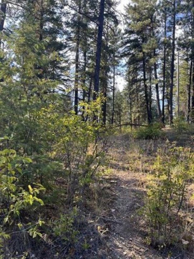 42XX Bussard Lake Rd, Loon Lake, WA 99148