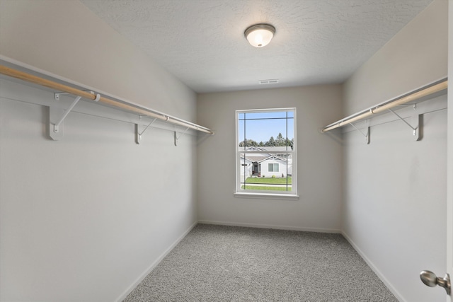 walk in closet featuring visible vents and carpet