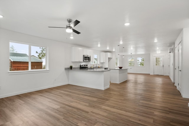 kitchen featuring wood finished floors, stainless steel appliances, recessed lighting, white cabinetry, and open floor plan