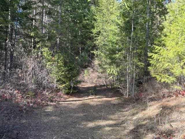 35XX Mountain View Rd, Chewelah, WA 99109