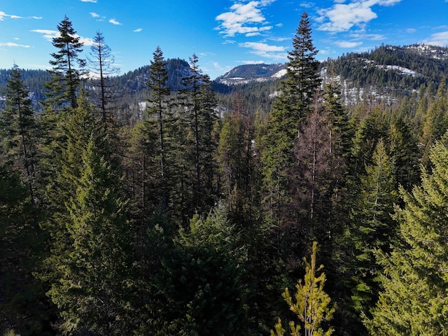 35XX Mountain View Rd, Chewelah, WA 99109