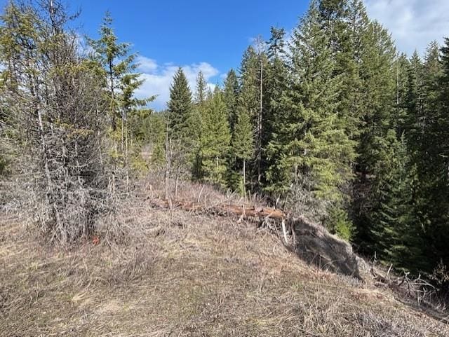 35XX Mountain View Rd, Chewelah, WA 99109