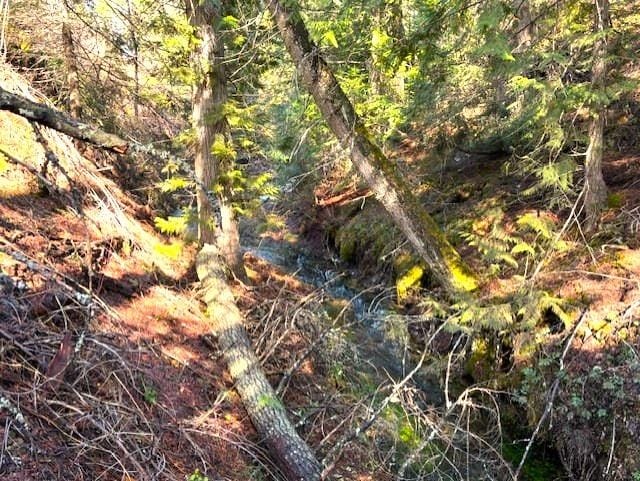35XX Mountain View Rd, Chewelah, WA 99109