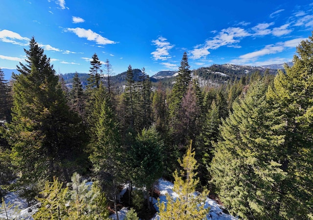 35XX Mountain View Rd, Chewelah, WA 99109