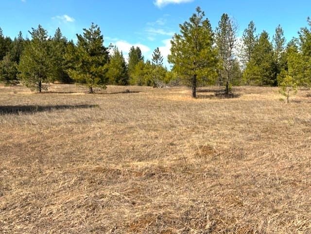 35XX Mountain View Rd, Chewelah, WA 99109