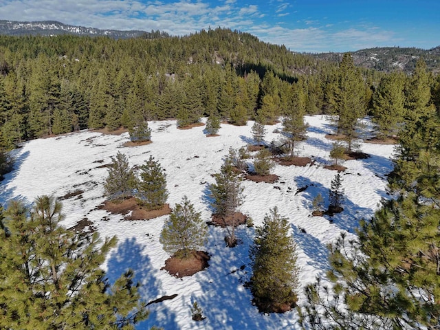 35XX Mountain View Rd, Chewelah, WA 99109