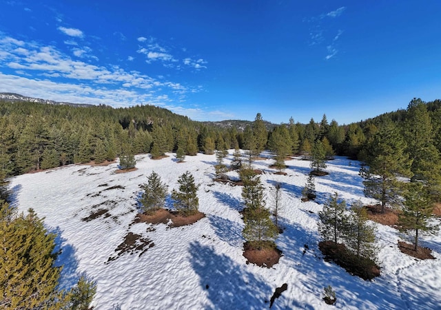 35XX Mountain View Rd, Chewelah, WA 99109